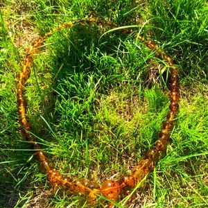 VTG Amber graduated necklace